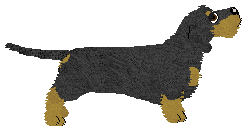 Energizing Maryla Rodowicz — “Maryla”