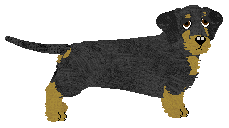 Profile image of Energizing Maryla Rodowicz