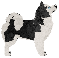 Dragosani DZIEWCZYNA Z PORCELANY — “Suzume”