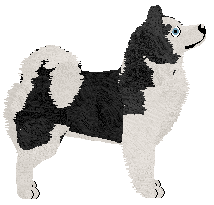 Dragosani DZIEWCZYNA Z PORCELANY — “Suzume”