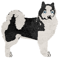 Profile image of Dragosani DZIEWCZYNA Z PORCELANY