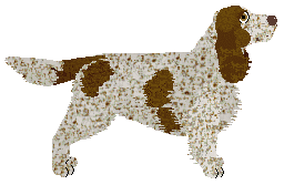 Energizing Face Your Fear — “Wood”