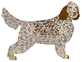 Profile image of SettFever Stockholm Syndrome