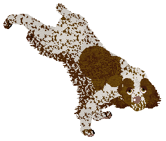 Energizing Sweet Sixteen — “Ciri”