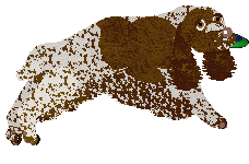 Energizing Sweet Sixteen — “Ciri”