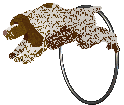 Energizing Sweet Sixteen — “Ciri”