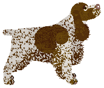 Energizing Sweet Sixteen — “Ciri”