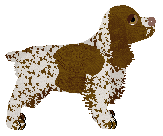 Energizing Sweet Sixteen — “Ciri”