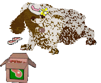 Energizing Sweet Sixteen — “Ciri”