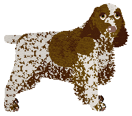 Conformation Champion: Energizing Sweet Sixteen