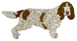 Profile image of Evanescence Cold Case