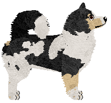 Dragosani MILCZENIE JEST ZŁOTEM — “Baaj”