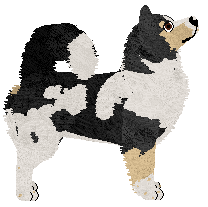 Dragosani MILCZENIE JEST ZŁOTEM — “Baaj”