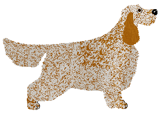 SettFever Lullaby — “Dama”