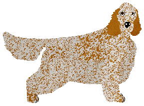 Profile image of SettFever Lullaby