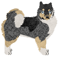 Profile image of Dragosani ZŁOTOUSTY