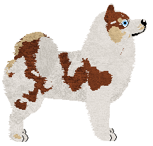 Dragosani WOJNA TOTALNA — “Megy”