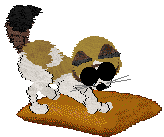 Aniseed/Calluna's Sunny Casinos — “Jonquil”