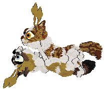 Aniseed/Calluna's Sunny Casinos — “Jonquil”