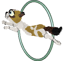 Aniseed/Calluna's Sunny Casinos — “Jonquil”