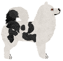 Dragosani WOJOWNIK ŚWIATŁA — “Nagrai”