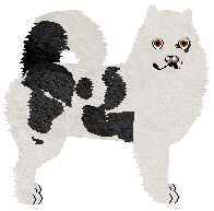 Profile image of Dragosani WOJOWNIK ŚWIATŁA