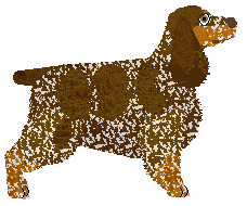 Energizing Social Distancing — “Demether”