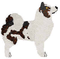 Dragosani CZERWONY KAPTUREK — “Toto”