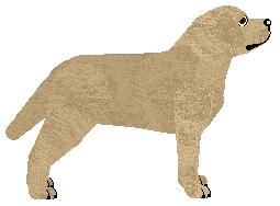 Bubbas' Count Fleet of Alohomora — “Fleet”