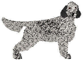 Profile image of Spitfire's So Am I