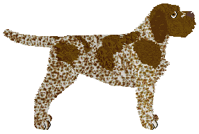 Novablue Move Your Mind — “Gina”