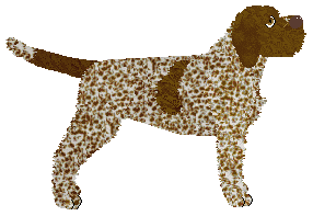 Energizing OH JULIE, I'M YOUR ROMEO! — “Julie”