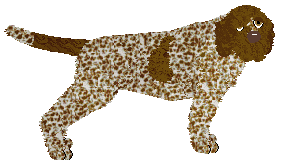 Profile image of Energizing OH JULIE, I'M YOUR ROMEO!