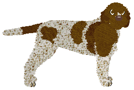 Profile image of Novablue Kungens Krona