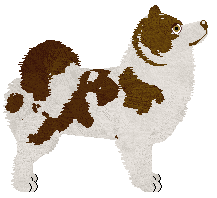 Dragosani New Kid On The Block — “Soya”