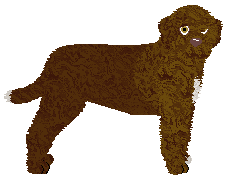 Profile image of Dragosani TOUCH DOWN TIGER