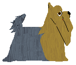 Silkwitch Alestone — “Harry”