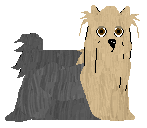 Profile image of Silkwitch Onyx