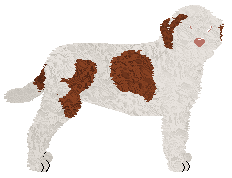 Profile image of Dragosani DLA MNIE BOMBA