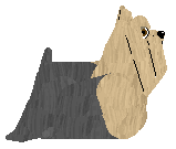 Silkwitch Emerald — “Andrew”