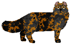 Fauvelle's Butterfly Net — “Butterfly”