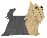 Silkwitch Quartz — “George”