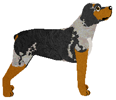 Dragosani MASTER OF DISASTER — “Ghost”