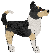 PD's Most Fortunate Encounter — “Elfia”