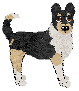 PD's Most Fortunate Encounter — “Elfia”