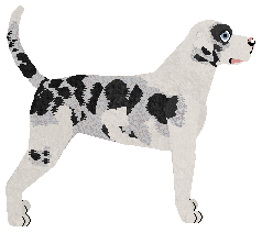 Kamvis' Everlasting Dream — “Ewinca”