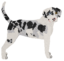 Profile image of Kamvis' Everlasting Dream