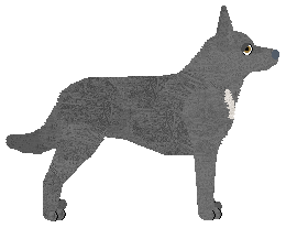 Maplewood's Gem Of The Sea — “Pearl”