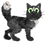 EC's Dusk and Her Embrace — “Shadowfall”