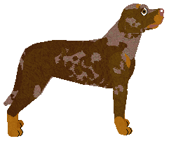 Dragosani CHRISTMAS CAROL — “Chia”